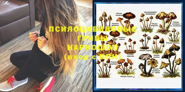 mdpv Алексин
