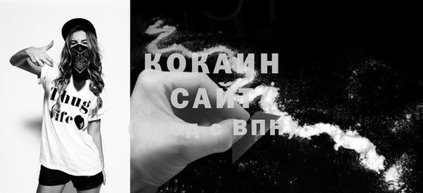 стаф Абинск