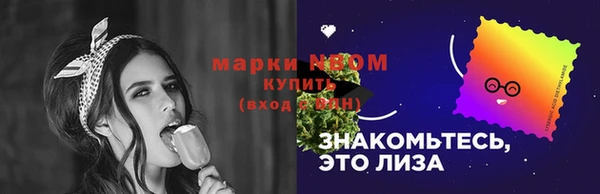 стаф Абинск