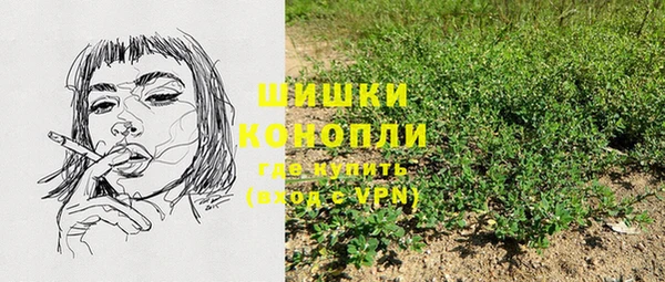 крисы Абаза