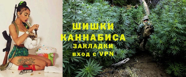 крисы Абаза