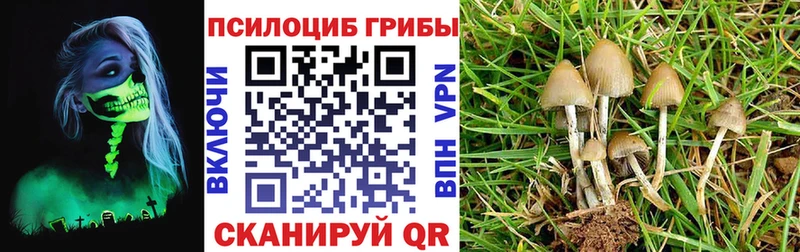 Псилоцибиновые грибы MAGIC MUSHROOMS Советский